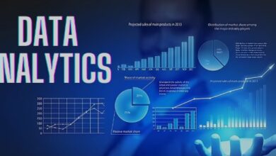 Leveraging Data Analytics