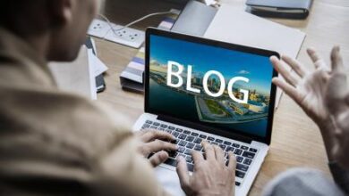 private blog network building service